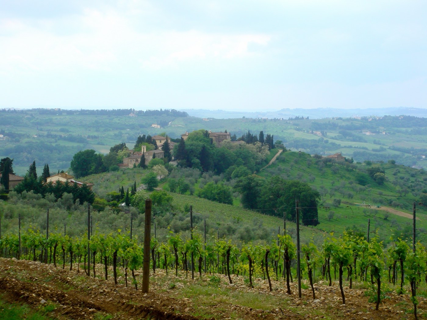 Chianti Classico vineyards on a Tuscan hillside