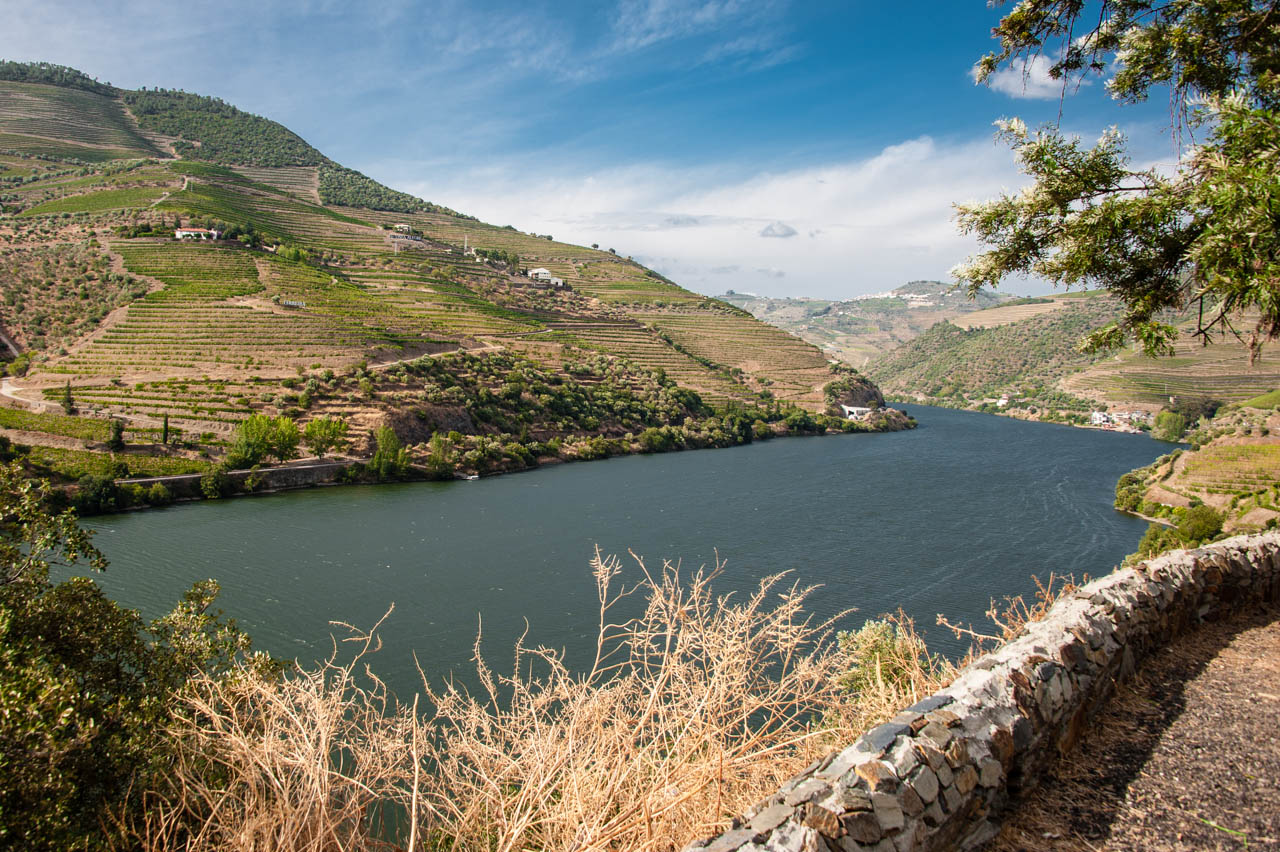 Douro Valley vineyard landscape