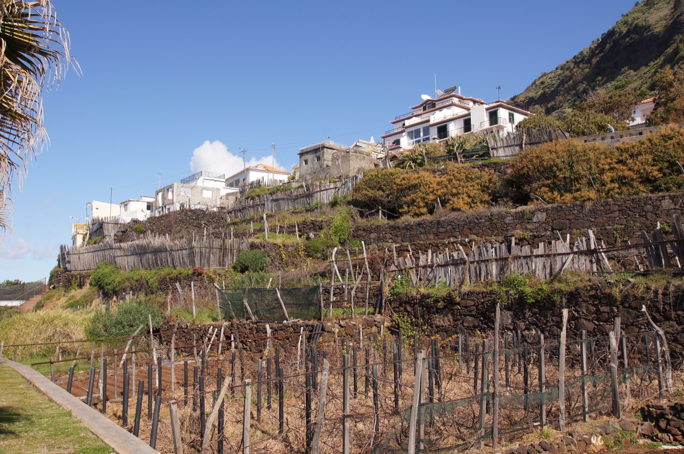 Terraced smallholdings above the sea at Jardim do Mar, Madeira
