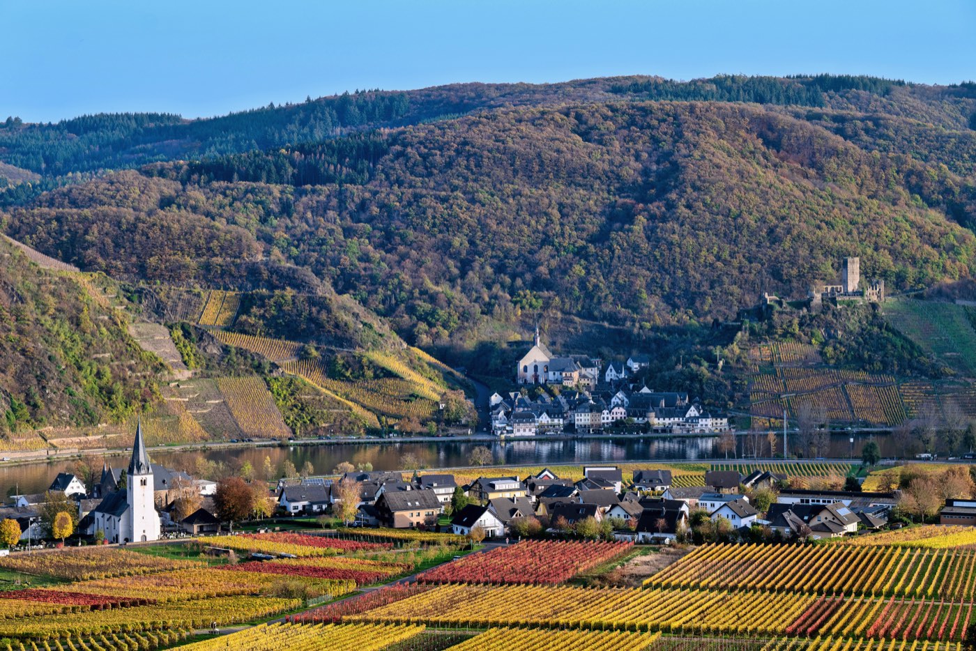 The Mosel at Beilstein, with vineyards rising from the river