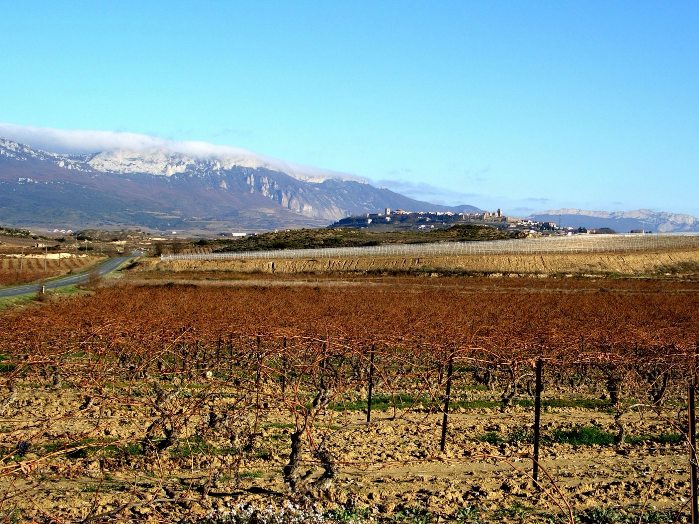 Vineyards of Rioja Alavesa below the Sierra de Cantabria, with Laguardia beyond