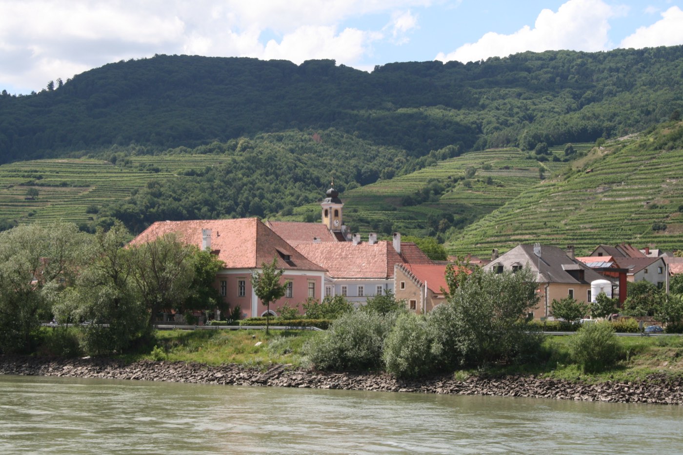 Terraced Wachau vineyards above the Danube